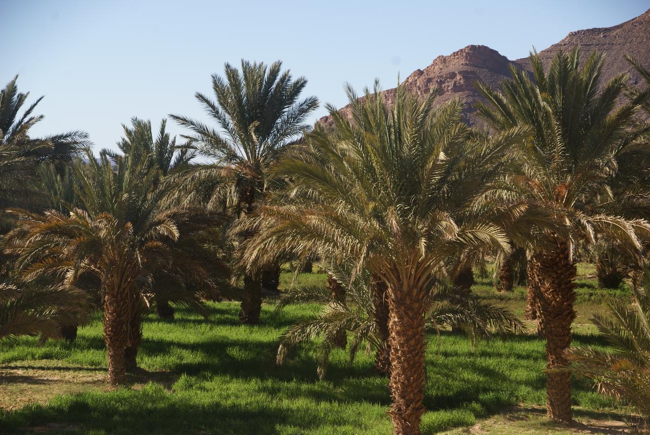 Riad Les Jardins De Tafraoute Foum Mharech Екстериор снимка